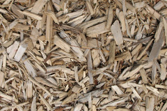 biomass boilers Burnedge