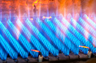 Burnedge gas fired boilers